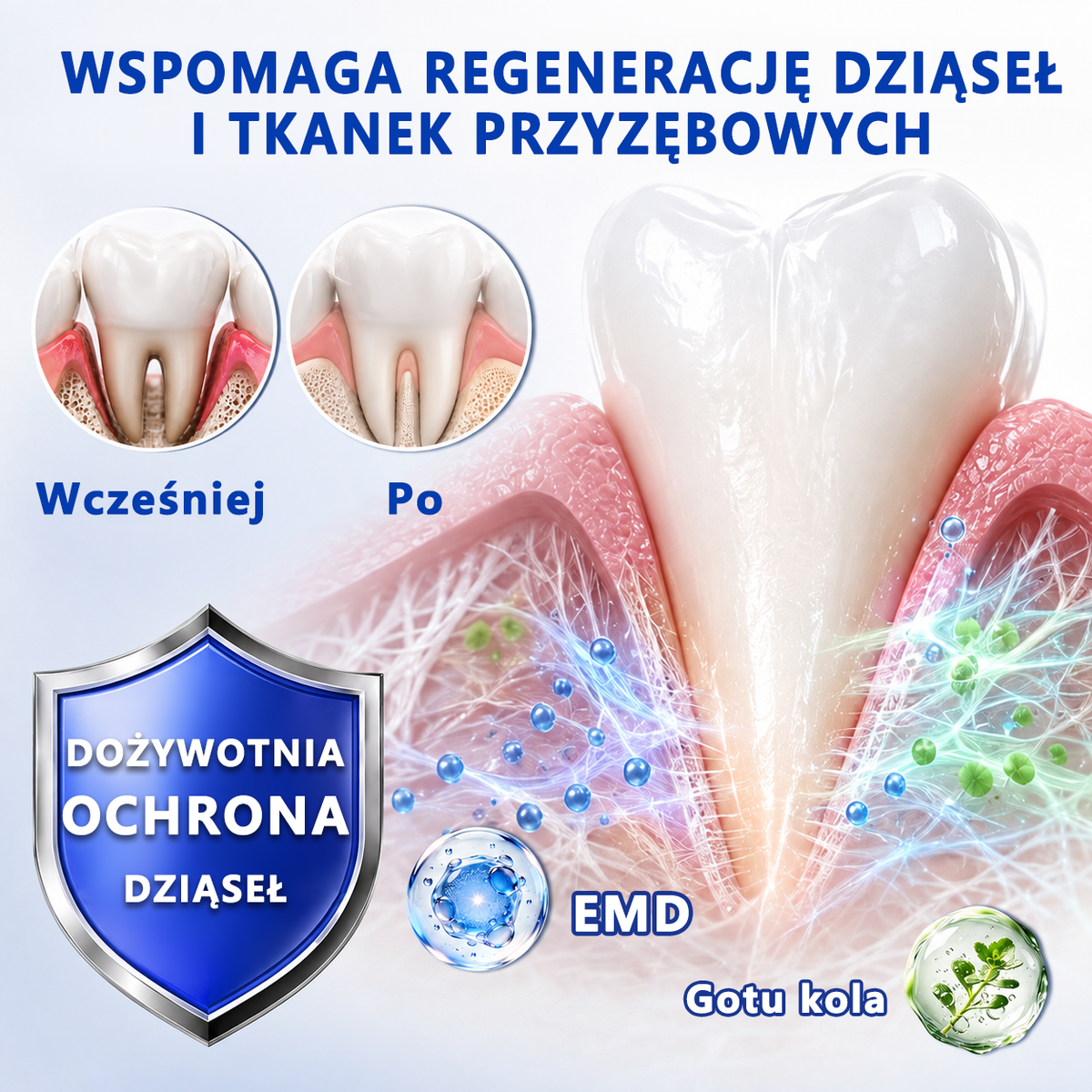 🇪🇺🏅🦷 Evolvion® GumRevive Żel do regeneracji przyzębia⚡