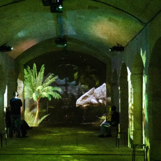 𝑺𝑪𝑵𝑫𝑹®🌌NOWA GENERACJA ULTRA HD Inteligentna dynamiczna immersyjna holograficzna lampa projekcyjna 5D ⭐
